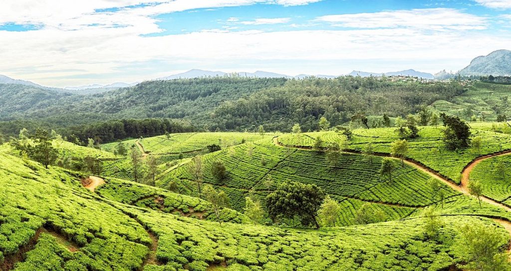 Destinasi Tempat Wisata Terpopuler di Sri Lanka yang Indah dan Asri
