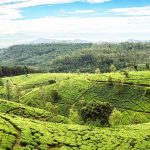 Destinasi Tempat Wisata Terpopuler di Sri Lanka yang Indah dan Asri