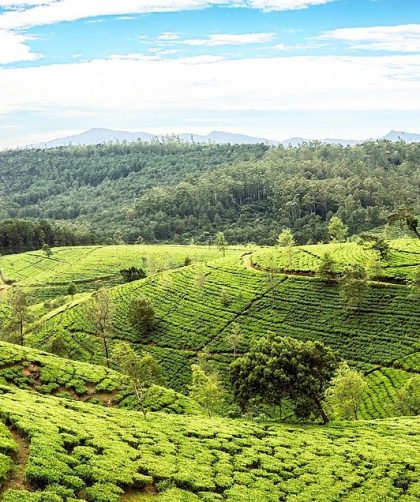 Destinasi Tempat Wisata Terpopuler di Sri Lanka yang Indah dan Asri
