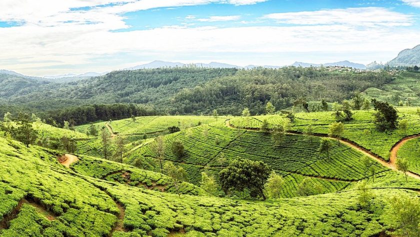 Destinasi Tempat Wisata Terpopuler di Sri Lanka yang Indah dan Asri
